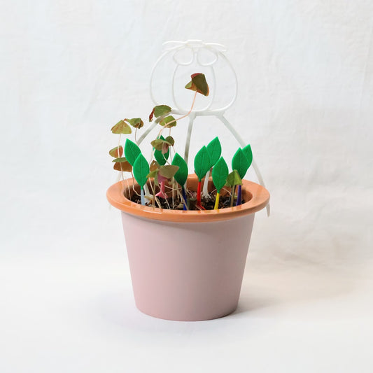 SPACE ONION plant trellis