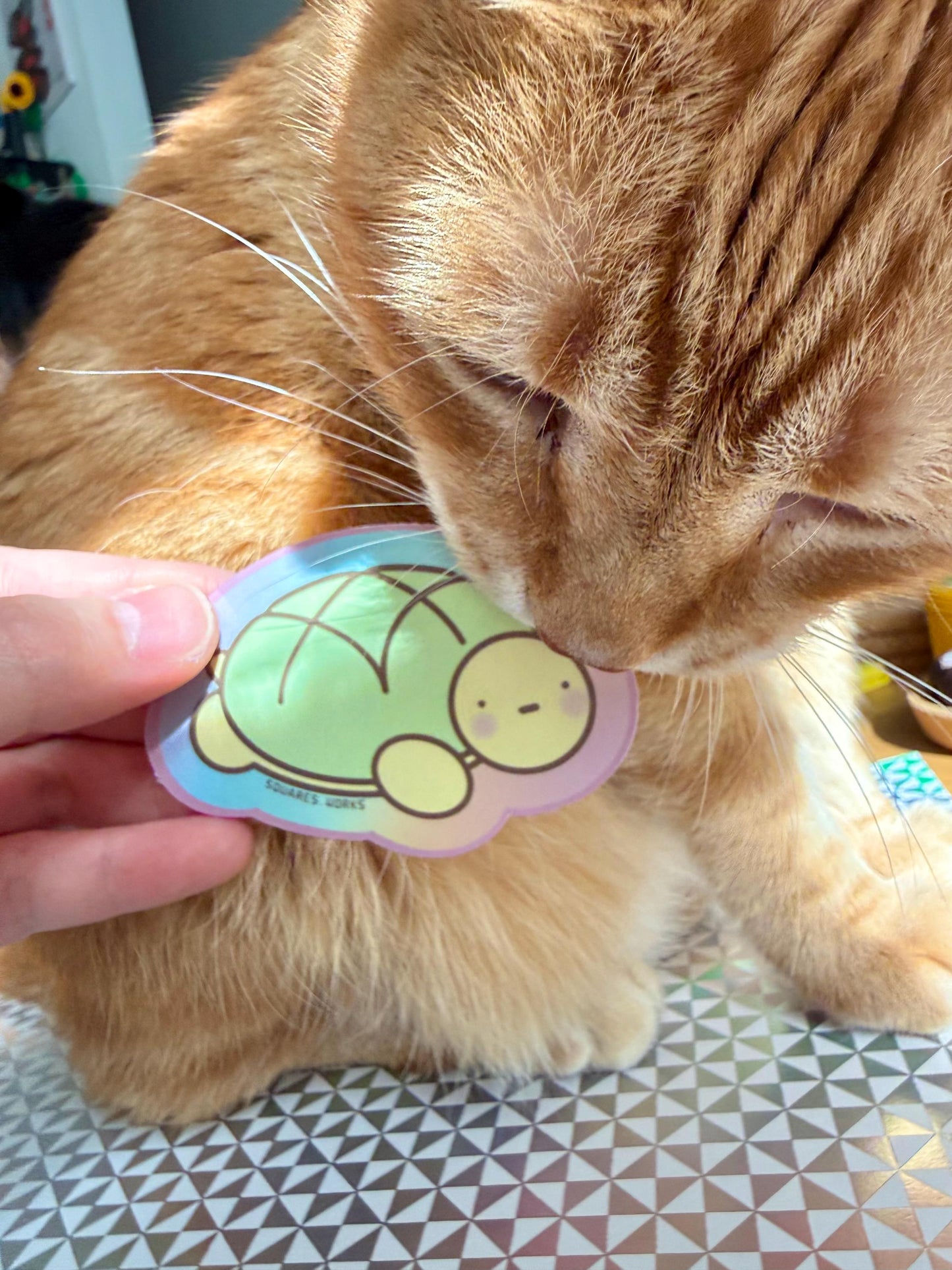 MELON-PAN TURTLE sticker