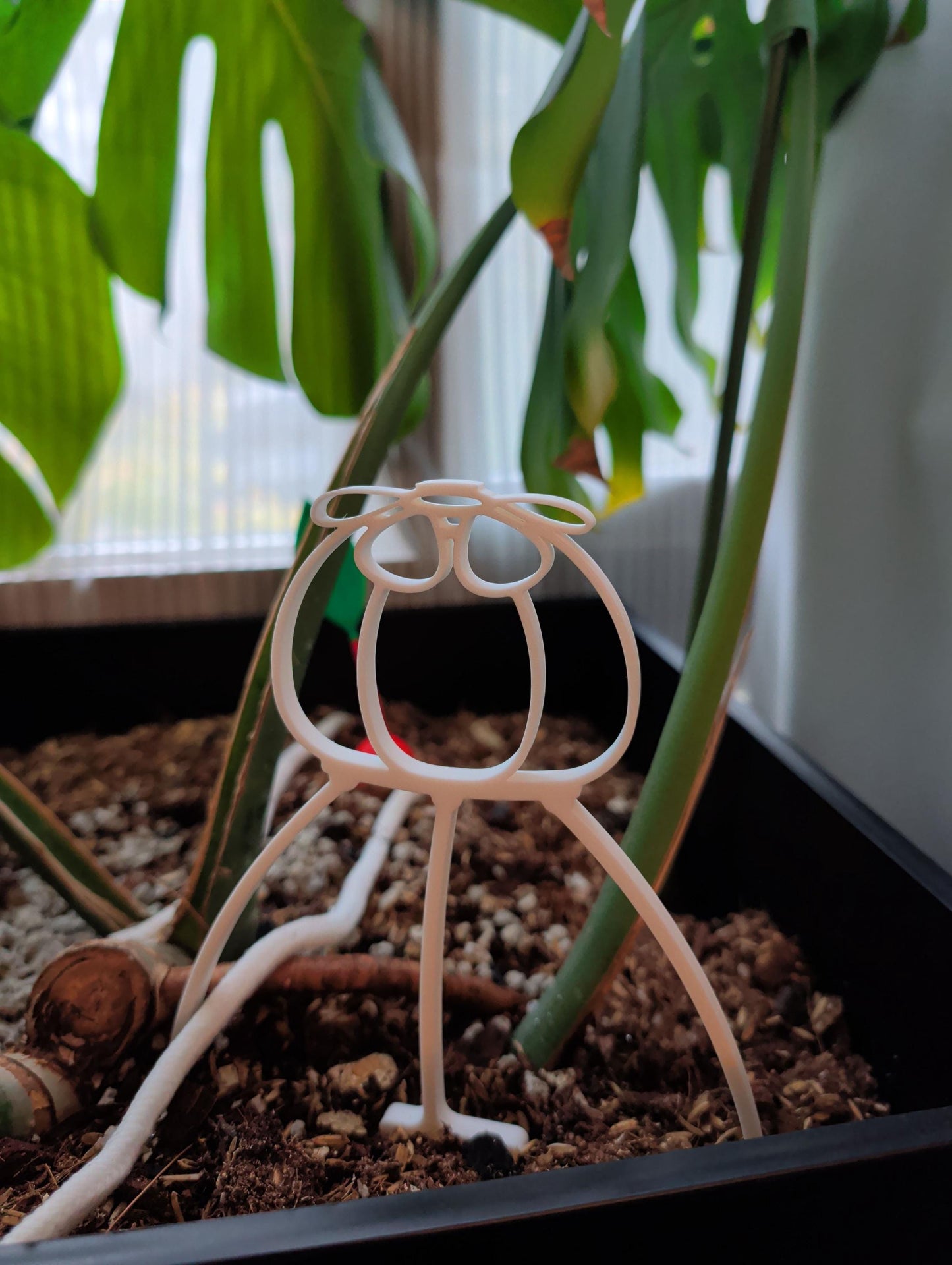 SPACE ONION plant trellis