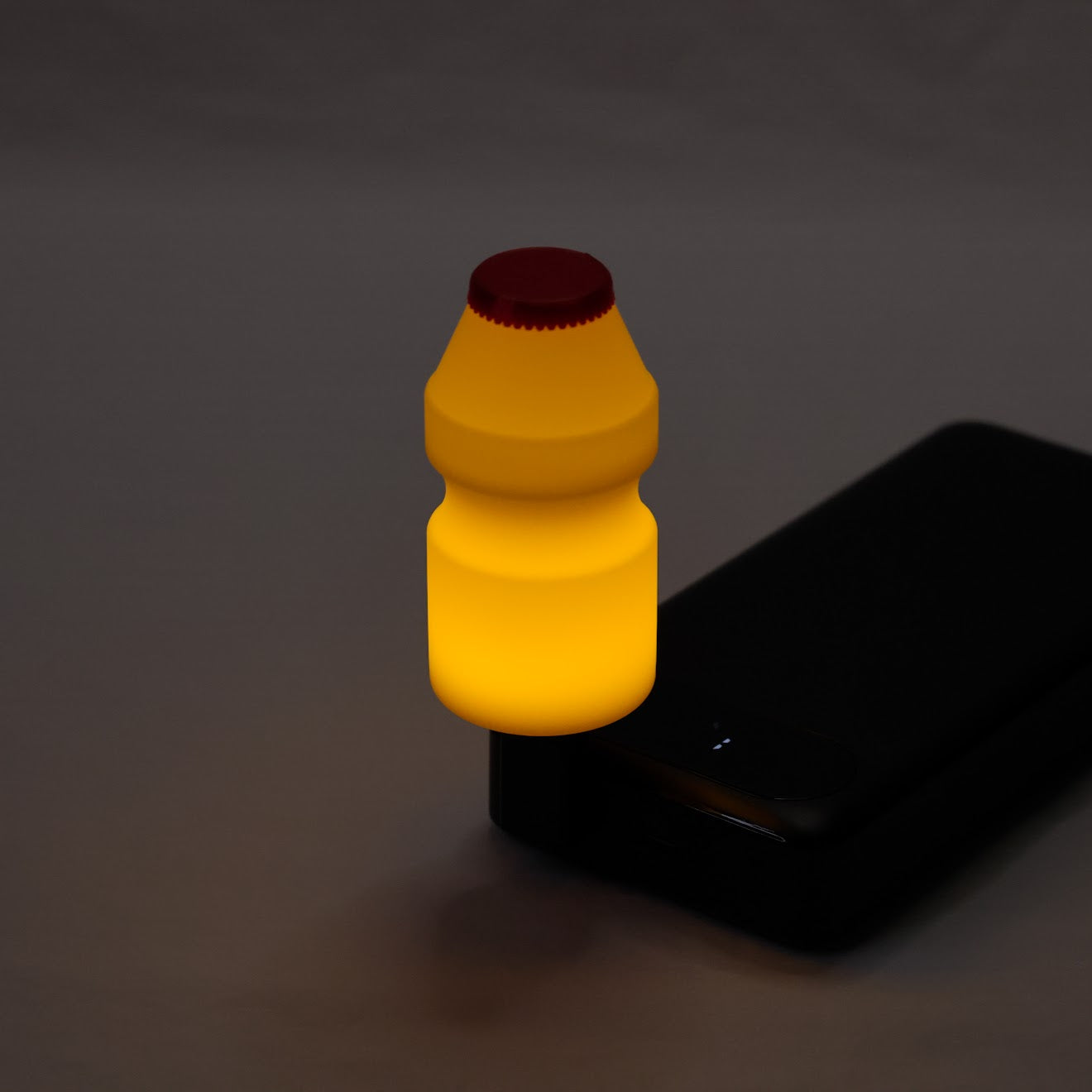 DELICIOUS PROBIOTIC light (small)