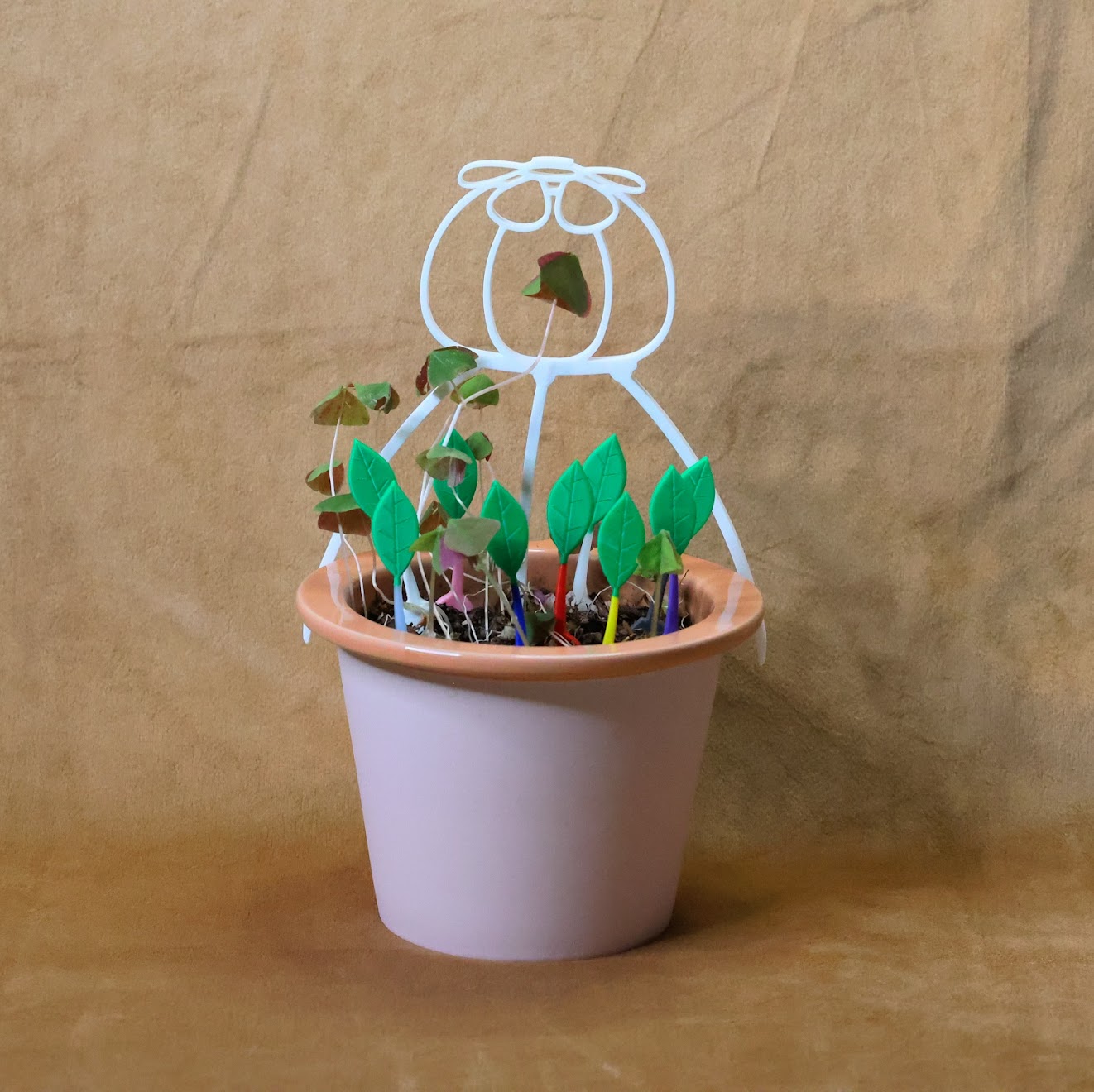 SPACE ONION plant trellis